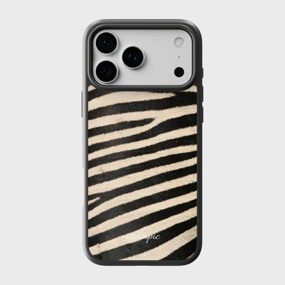 Zebra Safari