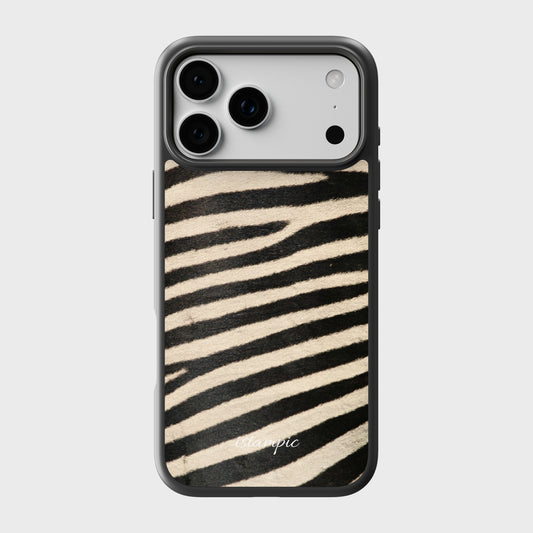 Zebra Safari