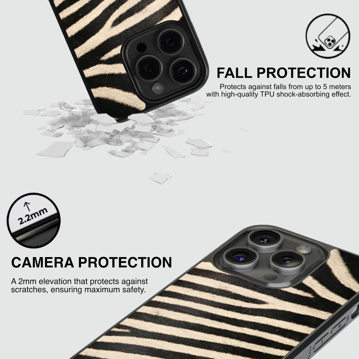 Zebra Safari