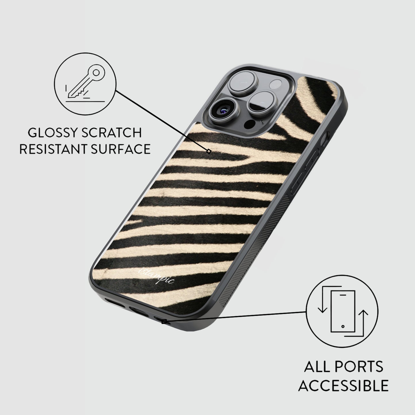 Zebra Safari
