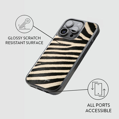 Zebra Safari