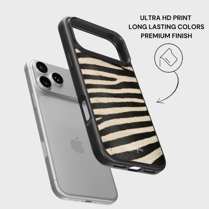 Zebra Safari