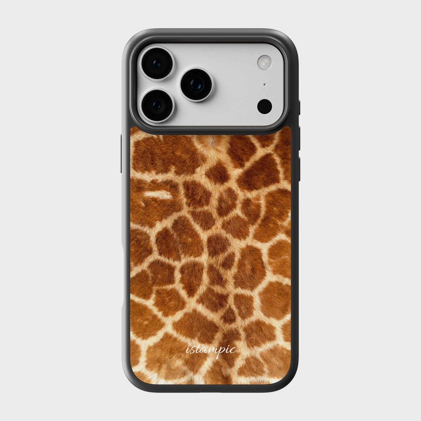 Savanna Giraffe