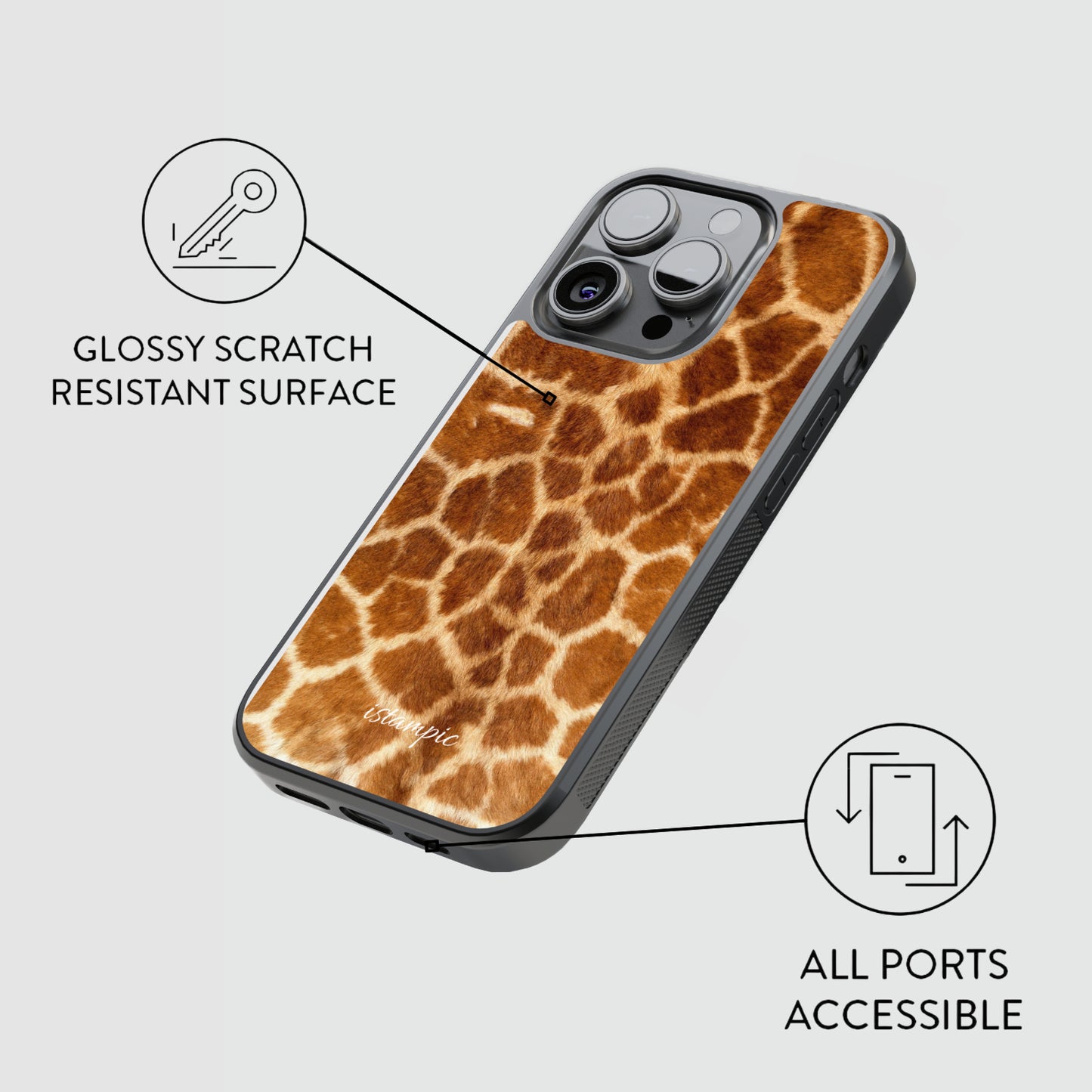 Savanna Giraffe