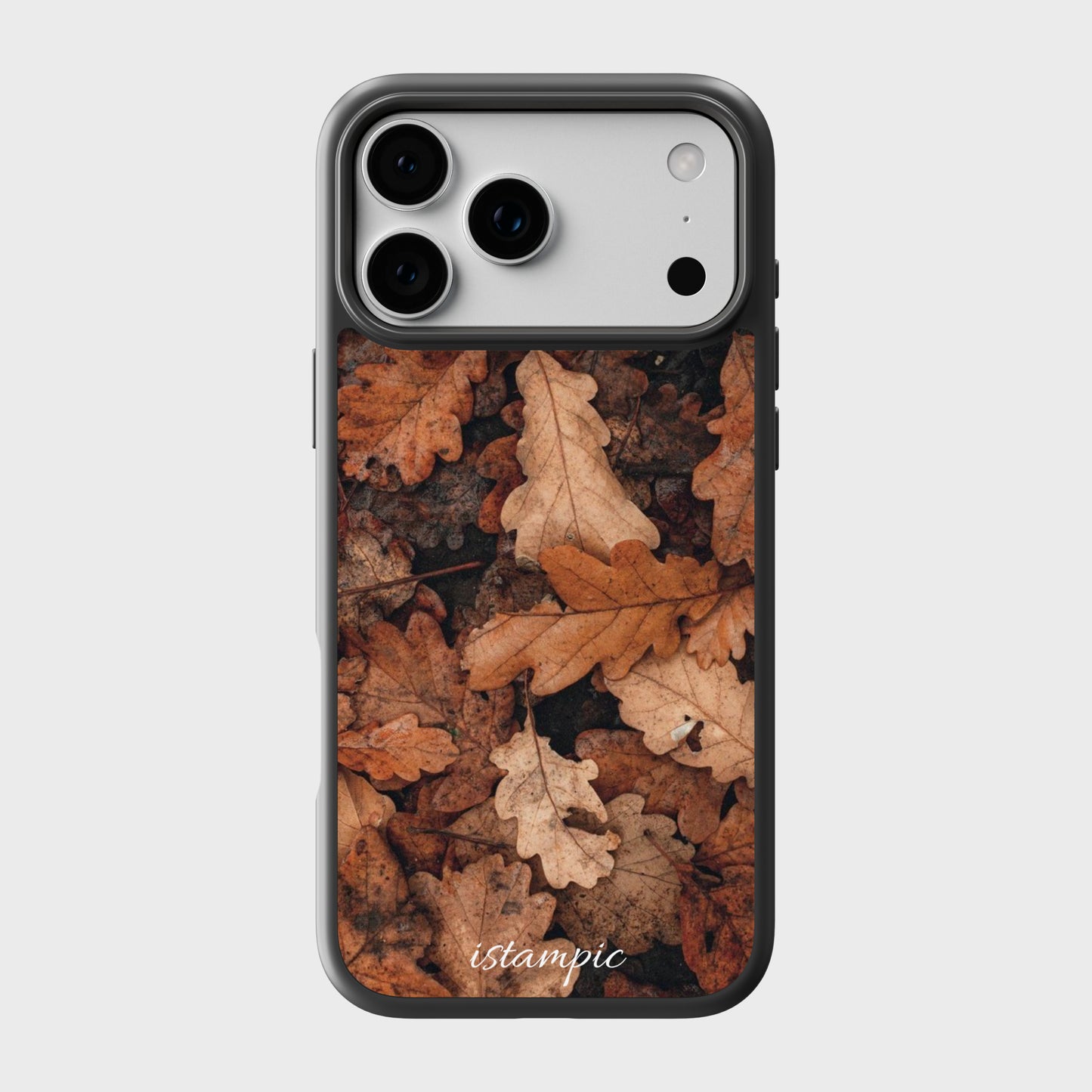 Fallen Leaves