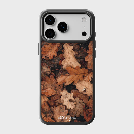 Fallen Leaves